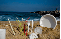 En este momento estás viendo Se pondrá fin a los envases de un solo uso.