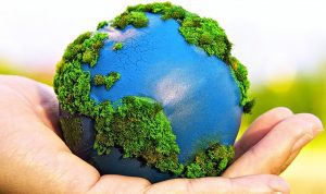 Lee más sobre el artículo El Día Mundial del Medio Ambiente, protejamos el ecosistema.