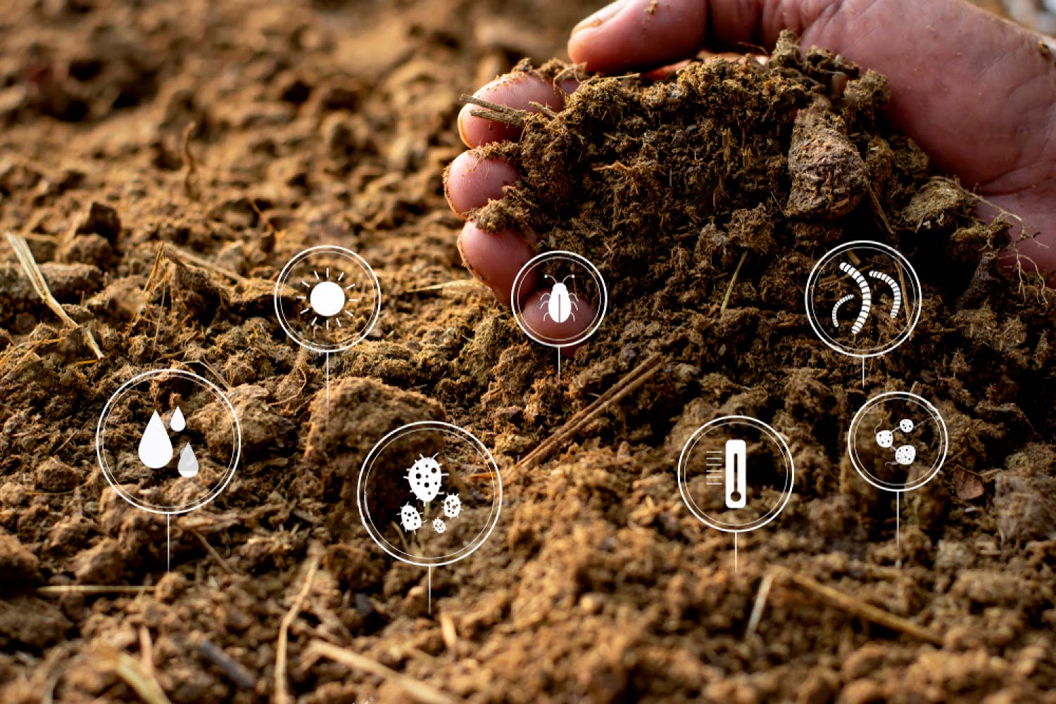 En este momento estás viendo ¿Cuánto tarda en descomponerse un envase compostable?