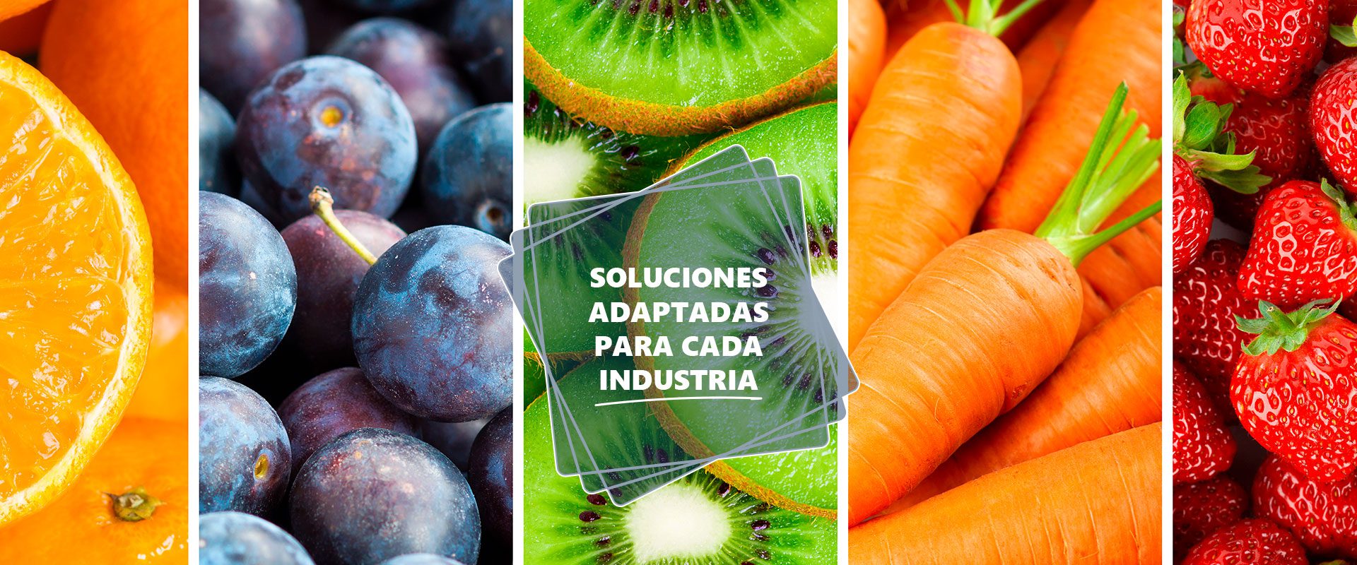 Mercados soluciones de envasado | Coverpan