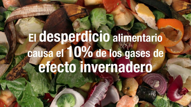 envases compostables desperdicio alimentario