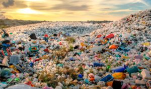 Lee más sobre el artículo La contaminación plástica sigue creciendo, advierte la OCDE