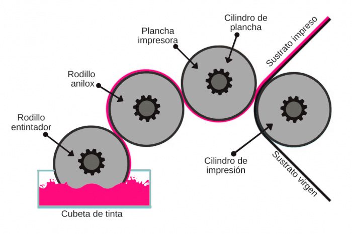 proceso de impresión flexográfica | Coverpan