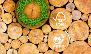 Lee más sobre el artículo Envases de papel con certificación FSC® y PEFC®