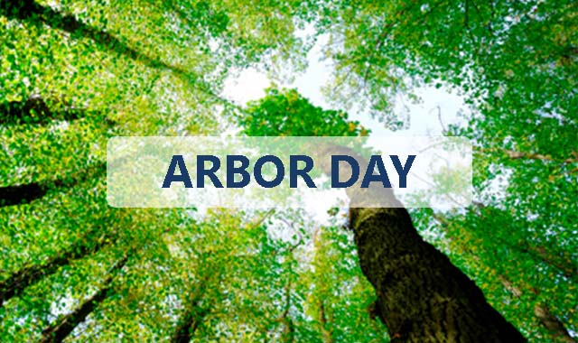 Read more about the article Celebrating Arbor Day with paper packaging
