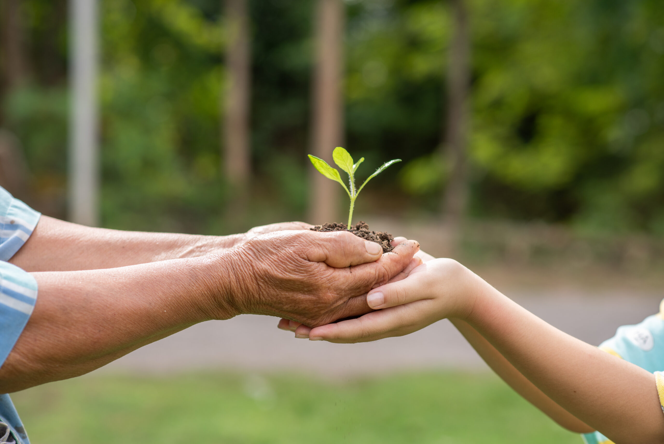 Lee más sobre el artículo 10 maneras en que tu empresa puede celebrar el Día del Medio Ambiente todo el año