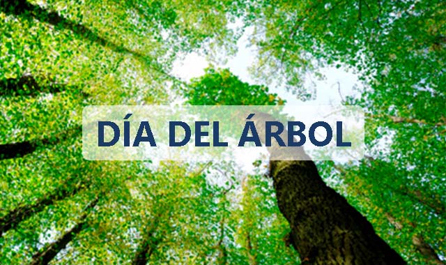 Lee más sobre el artículo Celebramos el Día del Árbol con envases de papel