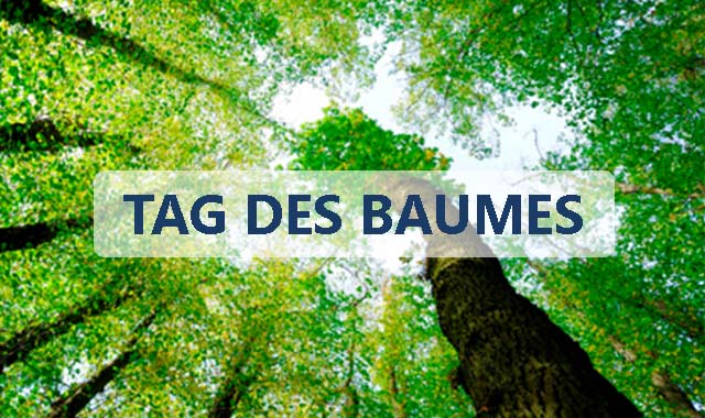 Mehr über den Artikel erfahren Den Tag des Baumes mit Papierverpackungen feiern